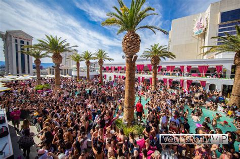 drais beach party